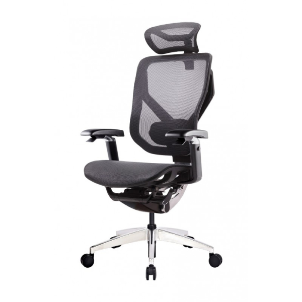 Купить Премиум эргономичное кресло GT Chair VIDA X, черный